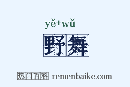 野舞是什么意思的图片
